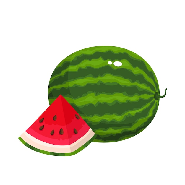 Bright vector illustration of colorful slice and whole of juice watermelon. Fresh cartoon berry isolated on white background.