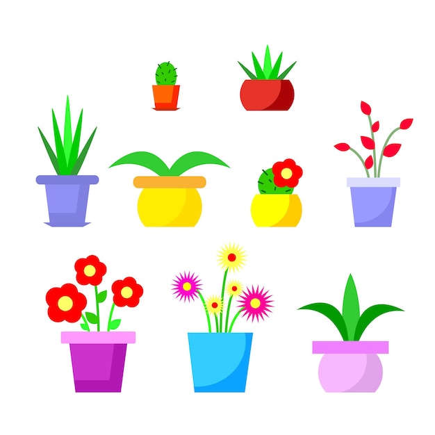 Bright vector illustration of house plants flower pots set indoor plants flowers and cacti hand drawing