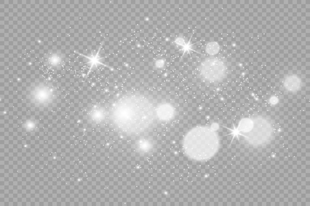 Brilliant dust vector shine Glittering shiny ornaments for background Vector illustration