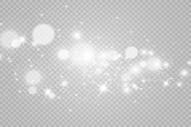 Brilliant dust vector shine Glittering shiny ornaments for background Vector illustration