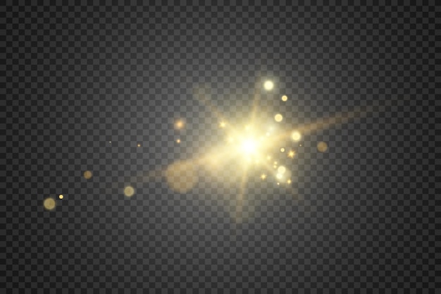 Brilliant gold dust vector shine Glittering shiny ornaments for background Vector illustration