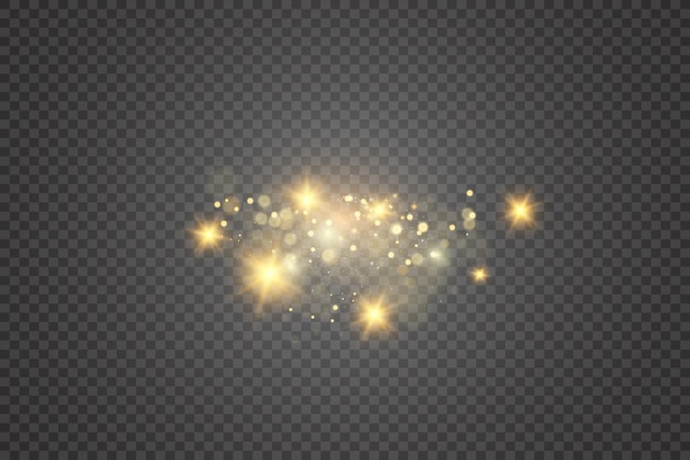 Brilliant gold dust vector shine Glittering shiny ornaments for background Vector illustration