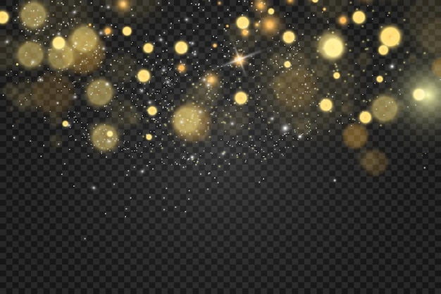 Brilliant gold dust vector shine Glittering shiny ornaments for background Vector illustration