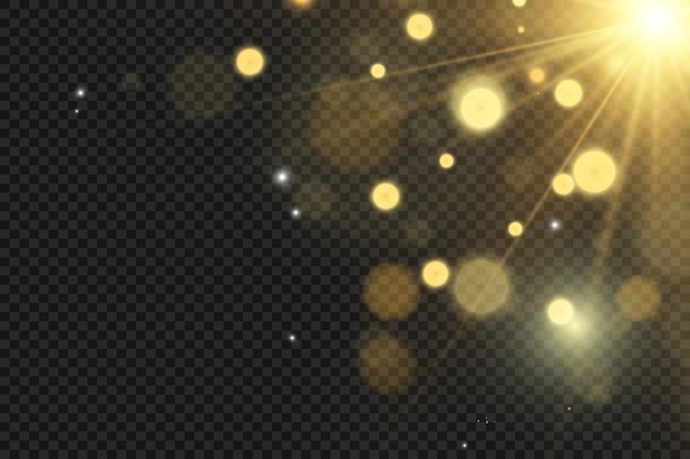 Brilliant gold dust vector shine. Glittering shiny ornaments for background. Vector illustration.