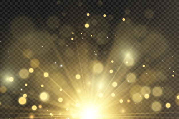 Brilliant gold dust vector shine. Glittering shiny ornaments for background. Vector illustration.