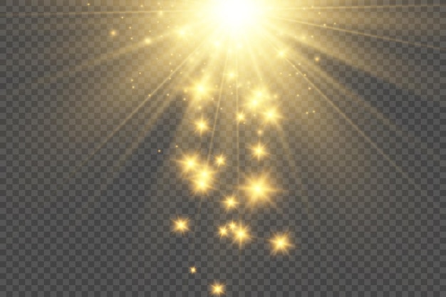 Brilliant gold dust vector shine Glittering shiny ornaments for background Vector illustration