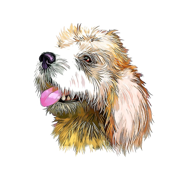 Briquet Griffon Vendeen Dog Breed Watercolor Sketch Hand Drawn Paint Illustration