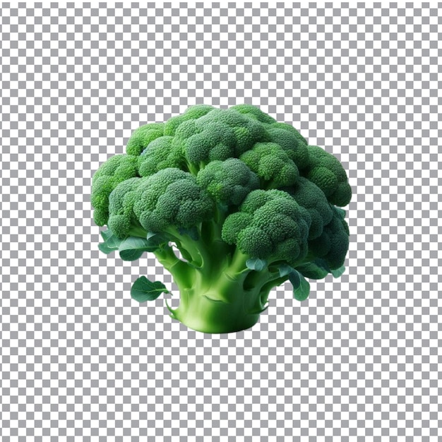 Vector a broccoli 3d isolated on transparent background