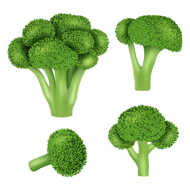 Broccoli cabbage icon set