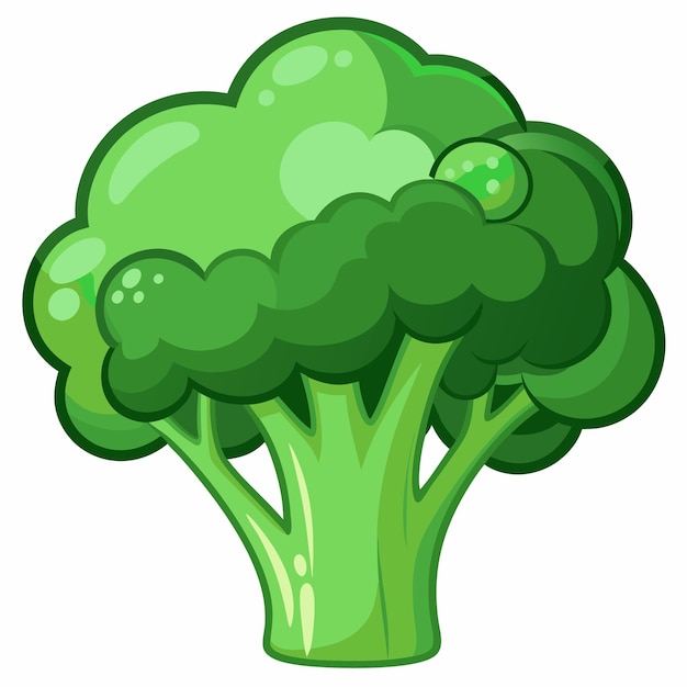 broccoli clipart cartoon style vector illustration