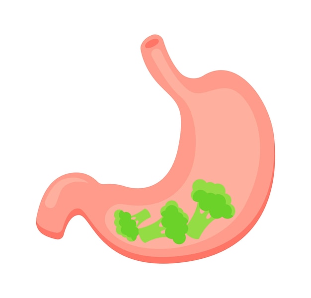 Broccoli diet for stomach health flat icon