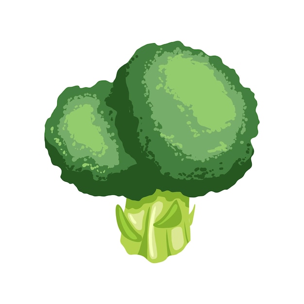 Broccoli green cartoon vector illustration