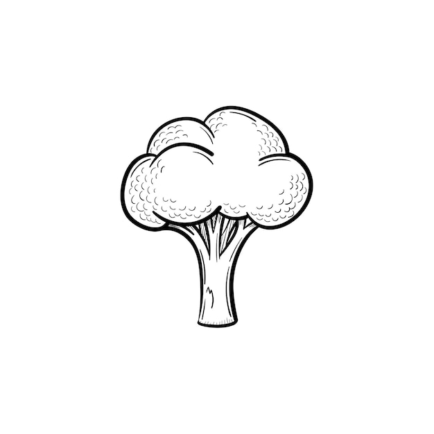 Broccoli hand drawn sketch icon