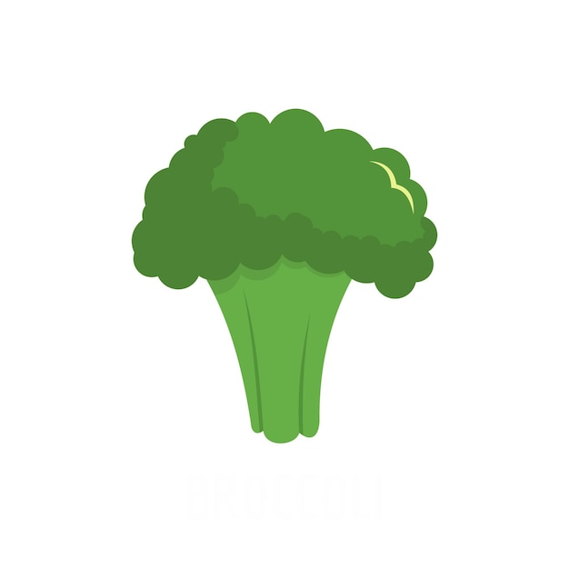 Broccoli icon Flat illustration of broccoli vector icon isolated on white background