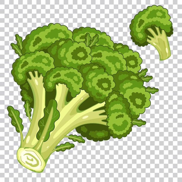 Broccoli isolated, organic food, farm