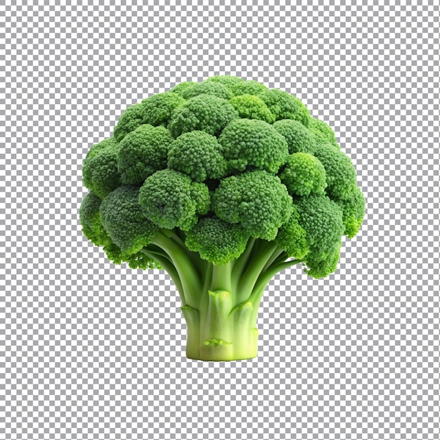 Vector a broccoli isolated on transparent background