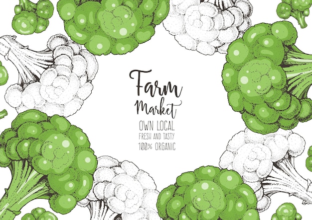 Broccoli vector illustration Vegetable design template Organic food illustration Healthy food frame