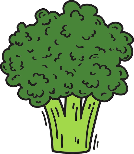 Broccoli Vegetable Food