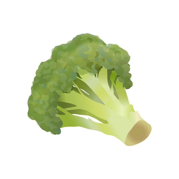 Broccoli