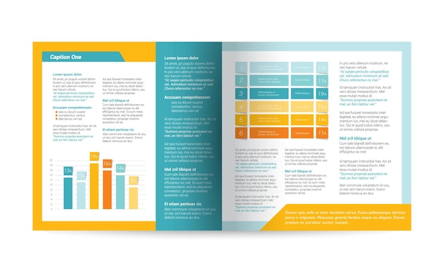 Brochure design Magazine layout for infographics