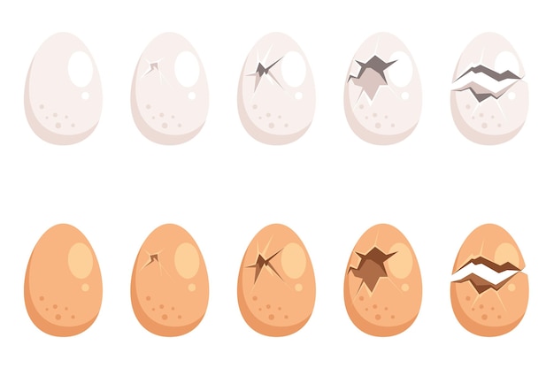 Broken egg isolated set collection flat cartoon graphic design illustration