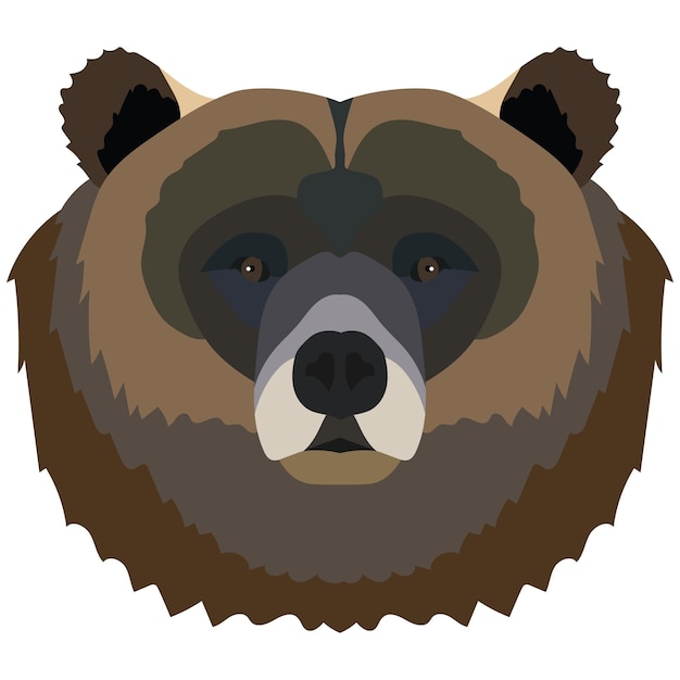 Brown bear head portrait vector illustration isolated on white background