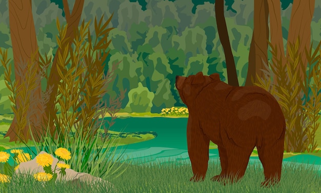 A brown bear stands on the shore of a swamp in a dense dark forest Realistic Vector Landscape