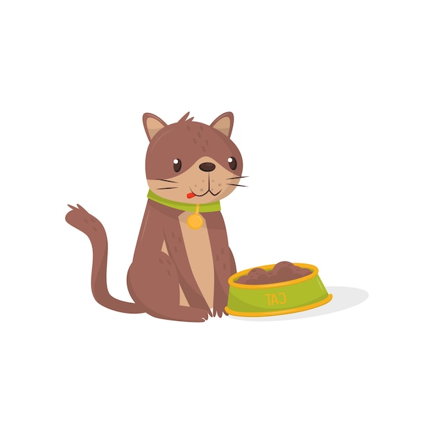 Brown cat sitting next to bowl full of food Kitten with green collar Flat vector design for poster or sticker