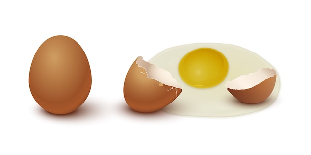 Brown chicken egg, eggshell and yolk isolated on gray background.