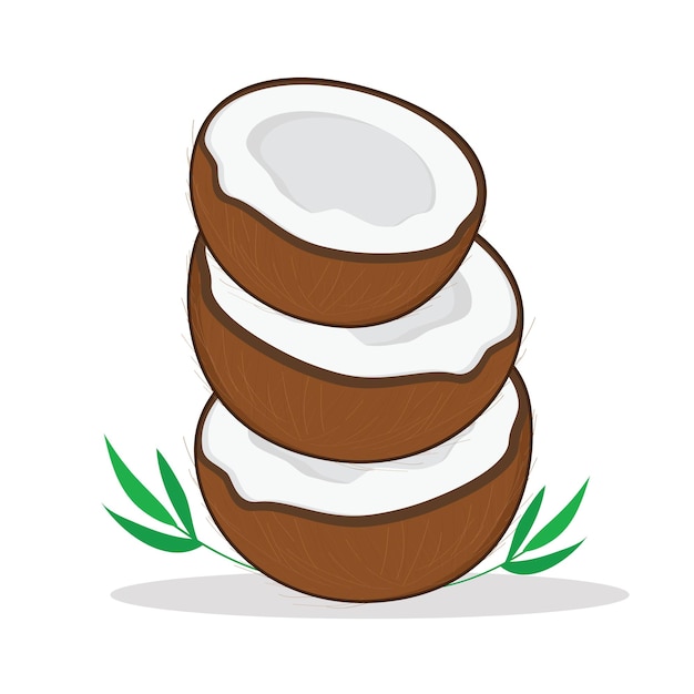 brown coconnutcoconut coconut flesh vector logo design icon cartoon illustration