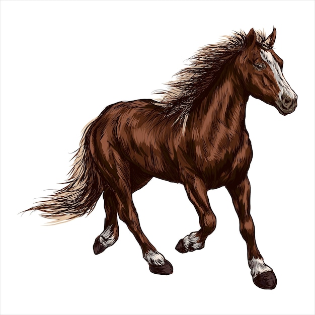 Brown horse running in a field Horse racing or equestrian sporting symbol