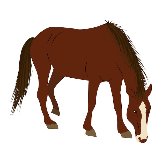 A brown horse with a white spot walks with its head down. Domestic and wild vector animals