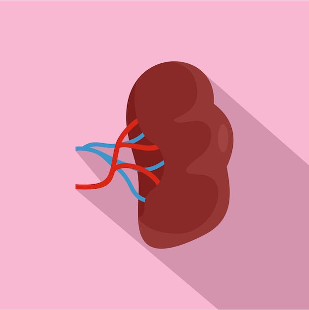 Brown kidney icon Flat illustration of brown kidney vector icon for web design