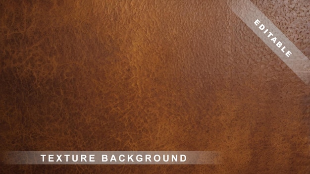 Vector a brown leather cover that says  back to the future