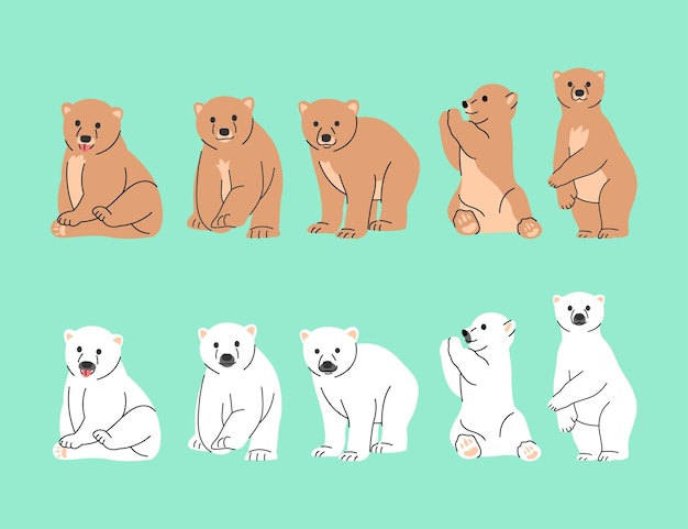 BROWN AND POLAR BEARS IN SOME DIFFERENT MOVES VECTOR ILLUSTRATION