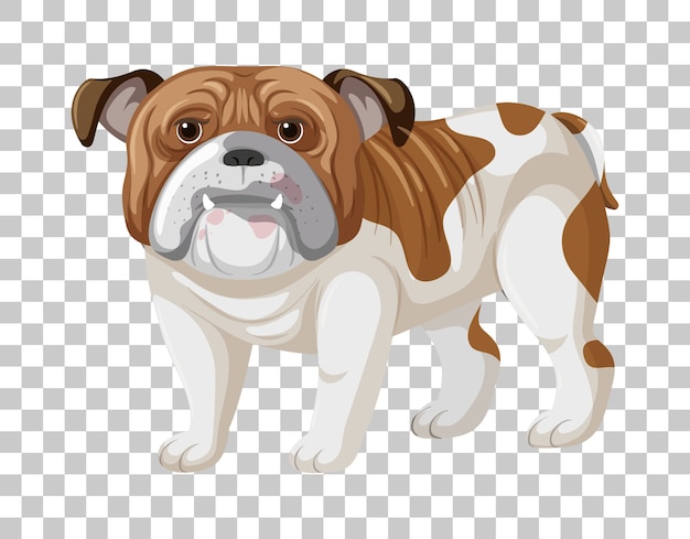 Vector brown white bulldog in standing position cartoon character isolated on transparent background