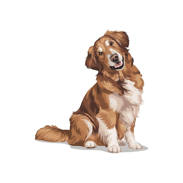 Vector a brown and white golden retriever dog is sitting down clipart vector illustration