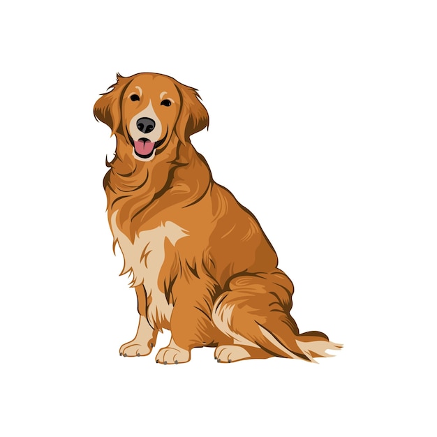 Vector a brown and white golden retriever dog is sitting down clipart vector illustration