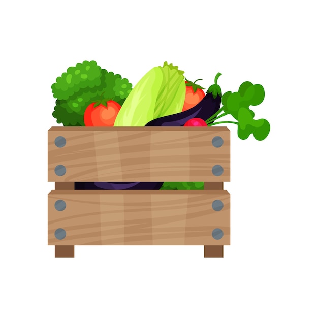 Brown wooden box full of fresh vegetables Natural and healthy food Organic products Flat vector icon