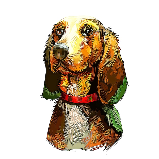 Bruno Jura Hound Dog Breed Watercolor Sketch Hand Drawn Paint Illustration