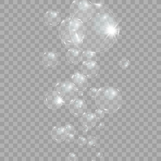 Bubble vector soap bubble on a transparent background Vector design