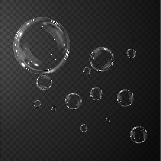 Bubbles are located on a transparent background