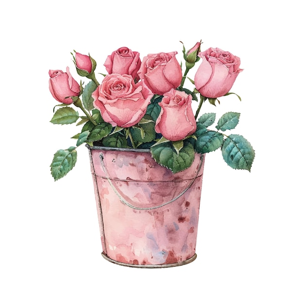 bucket of roses vector illustration in watercolour style