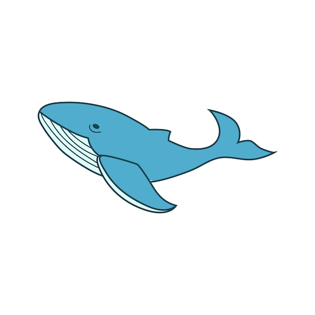 Bue whale isolated vector illustration