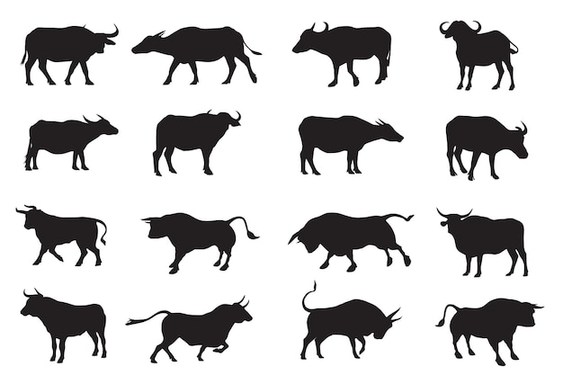 Buffalo and bull silhouette