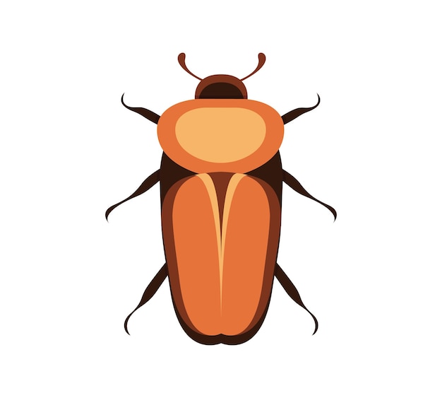 Bug vector icon for web design isolated on white background Bug and Insect set in cartoon style