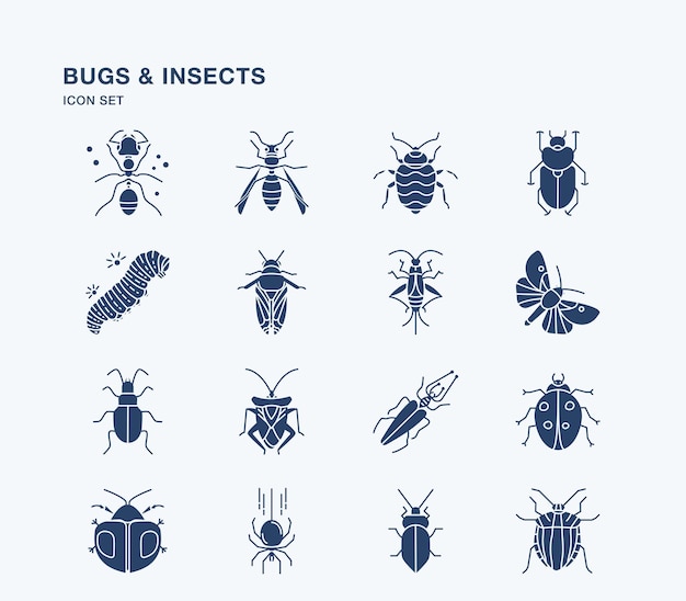 Bugs and insects illustration