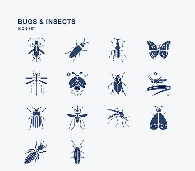 Bugs and insects illustration