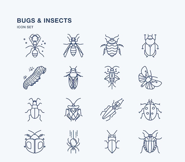 Bugs and insects illustration