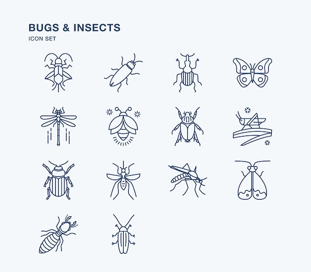 Bugs and insects illustration